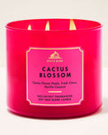 Cactus Blossom - Vela 3 Mechas