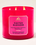 Cactus Blossom - Vela 3 Mechas