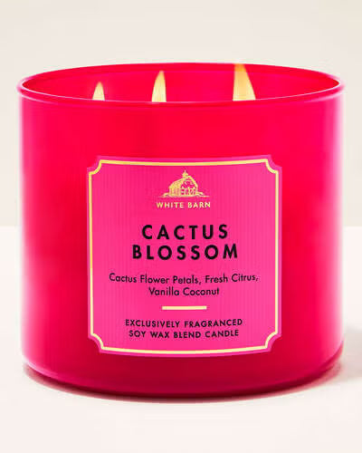 Cactus Blossom - Vela 3 Mechas