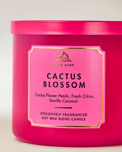 Cactus Blossom - Vela 3 Mechas