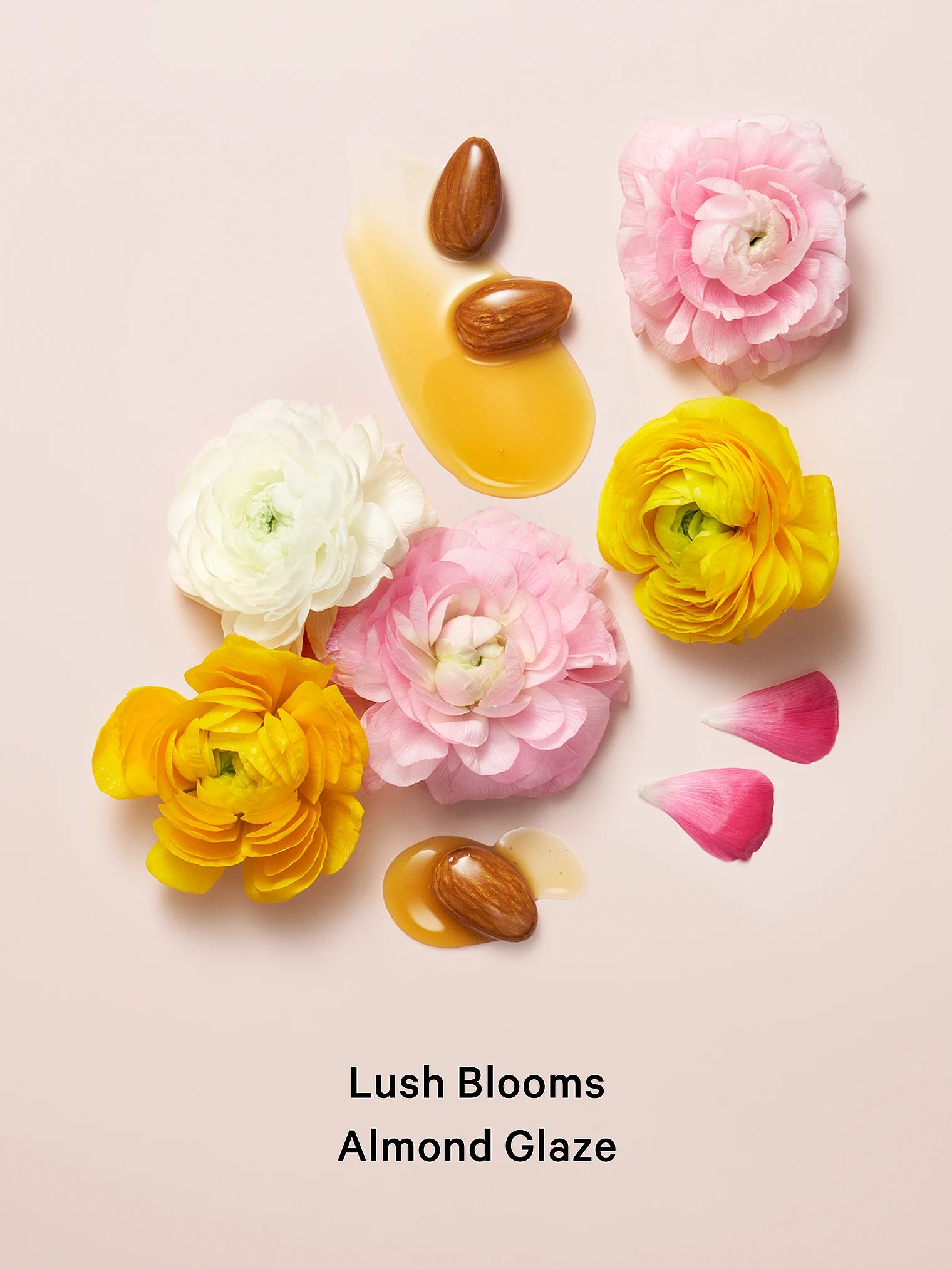 Velvet Petals - Splash