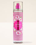 Cherry Blossom - Splash